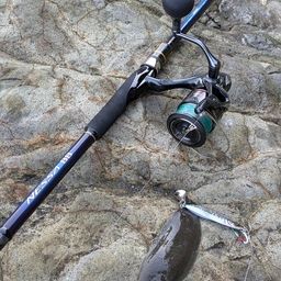 クロウシノシタ