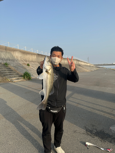 品質が完璧 シーバス引退 カゲロウ等あり バラ不可 （カゲロウ124fあり 青物 ルアー・フライ