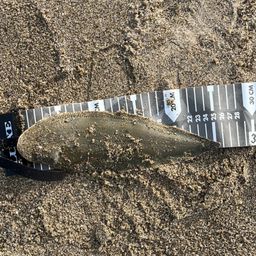 クロウシノシタ