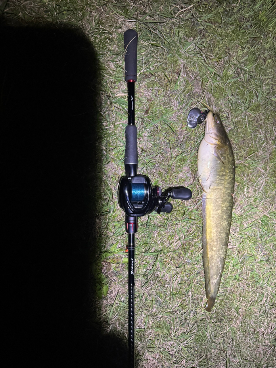 SHIMANO 20ゾディアス 1610MH-2の最安値・インプレ・釣果 | 本音 SHIMANO 20ゾディアス 1610MH-2の最安値・インプレ・釣果 | 本音