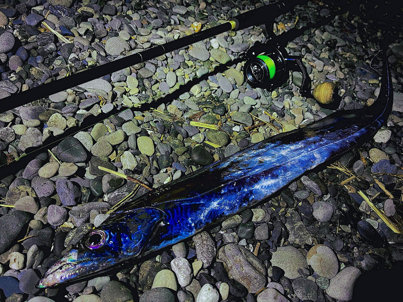 SHIMANO 19ヴァンキッシュ 4000MHGの最安値・インプレ・釣果