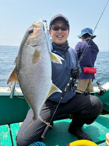 ビンチョウマグロの釣果
