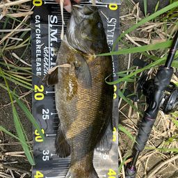 スモールマウスバス