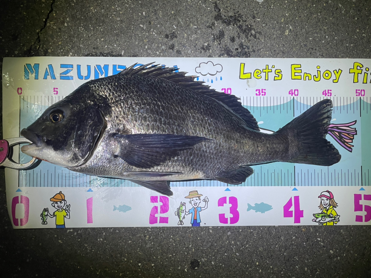 SHIMANO 23ディアルーナ S96MLの最安値・インプレ・釣果 | 本音