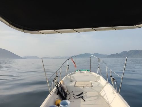 キジハタの釣果