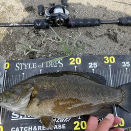 スモールマウスバス