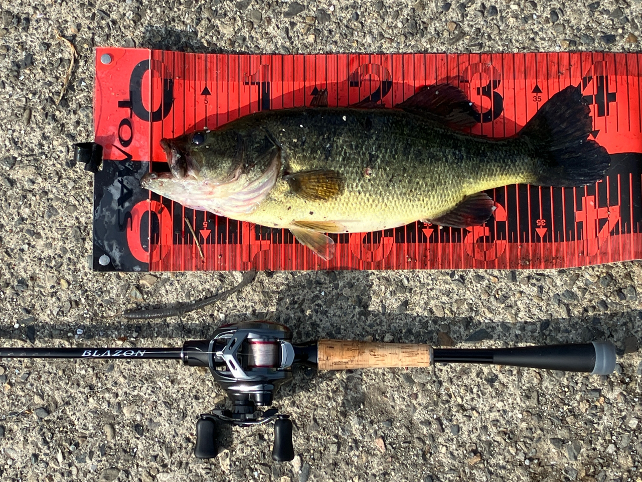 DAIWA 21ブレイゾン C66ML-2の最安値・インプレ・釣果 | 本音の