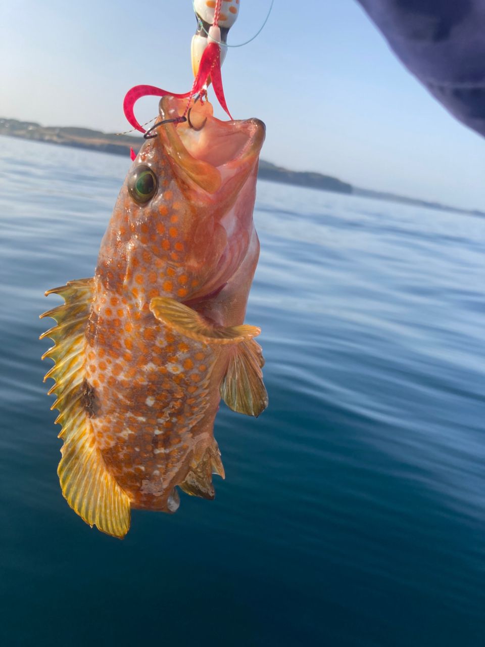 JACKALL バンブルズ RB BBRB-LJ-C63Lの最安値・インプレ・釣果 | 本音