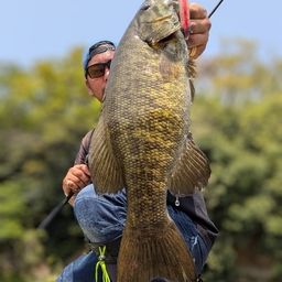 スモールマウスバス