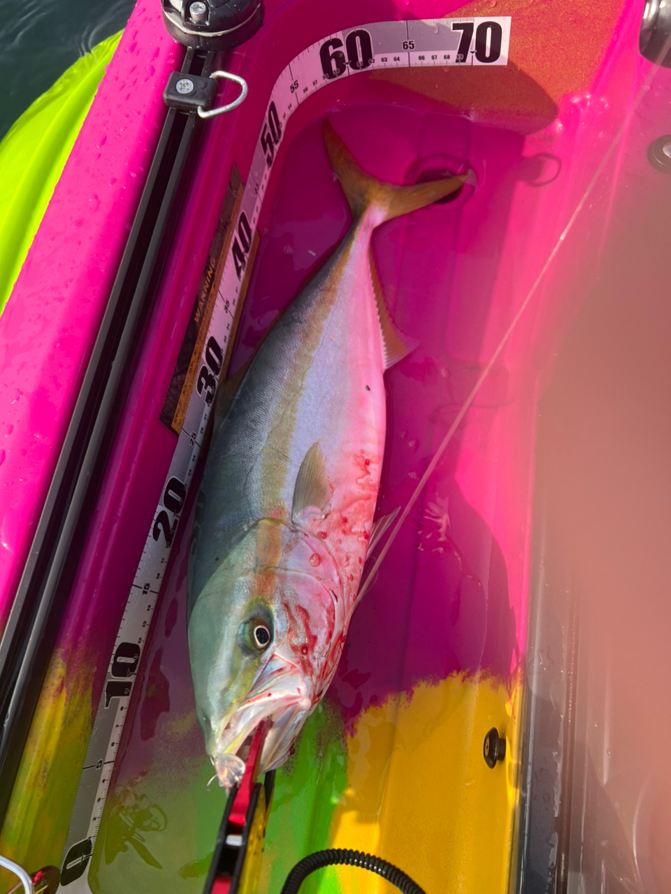 SHIMANO 23グラップラー タイプ ブレード S68-1の最安値