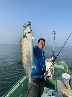 サワラの釣果
