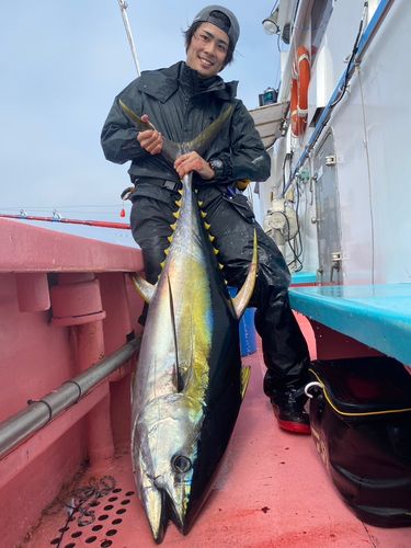 カンパチの釣果