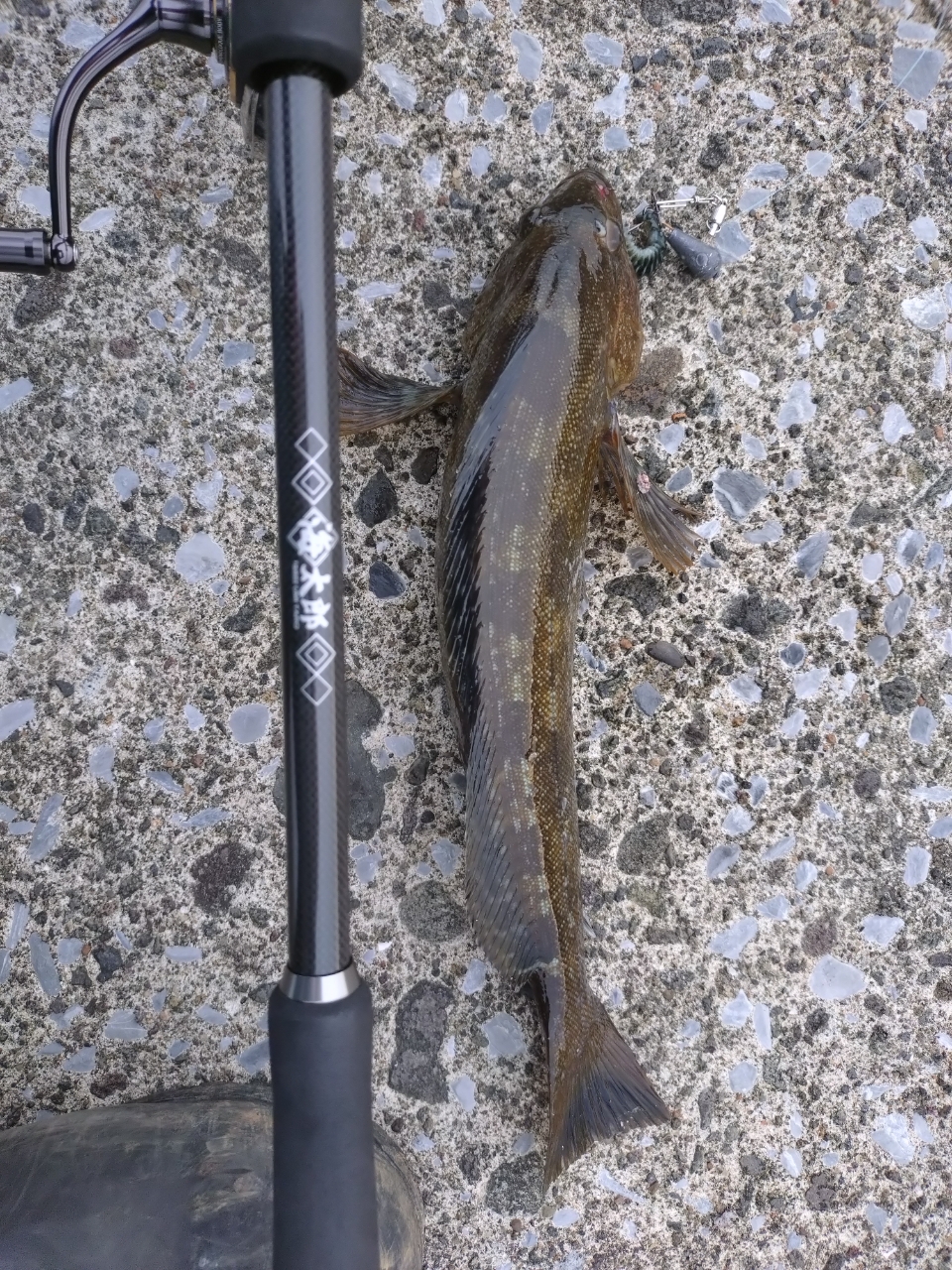 DAIWA 22カルディア SW 4000-CXHの最安値・インプレ・釣果