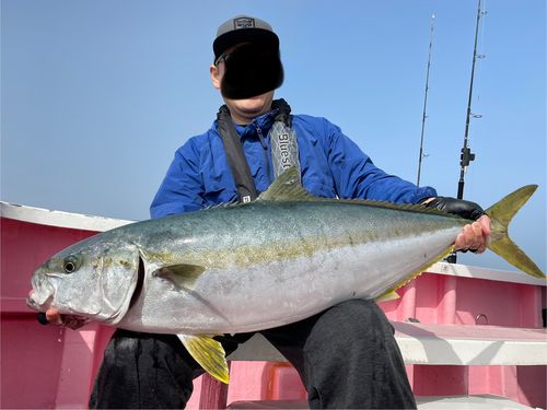 ヒラマサの釣果