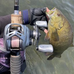 スモールマウスバス