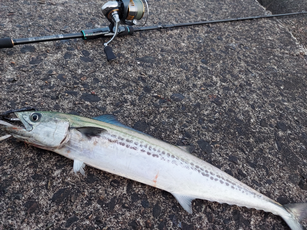 DAIWA 23エメラルダス ストイスト ST（アウトガイドモデル