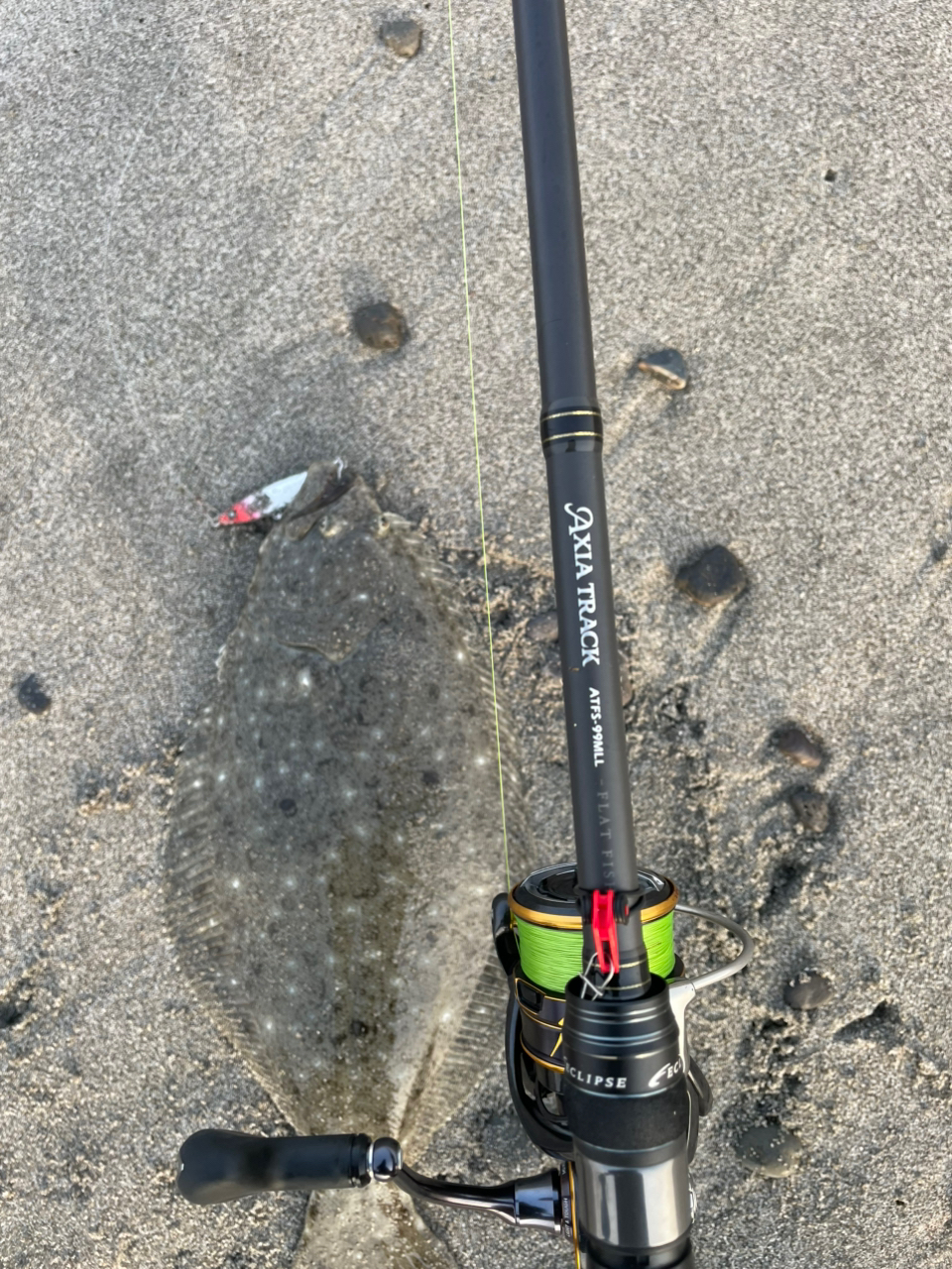 DAIWA 21カルディア LT4000-CXHの最安値・インプレ・釣果 | 本音