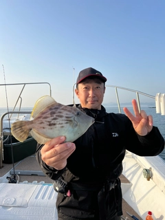 カワハギの釣果