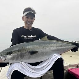 ヒラマサ