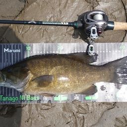 スモールマウスバス