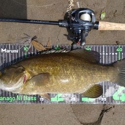 スモールマウスバス