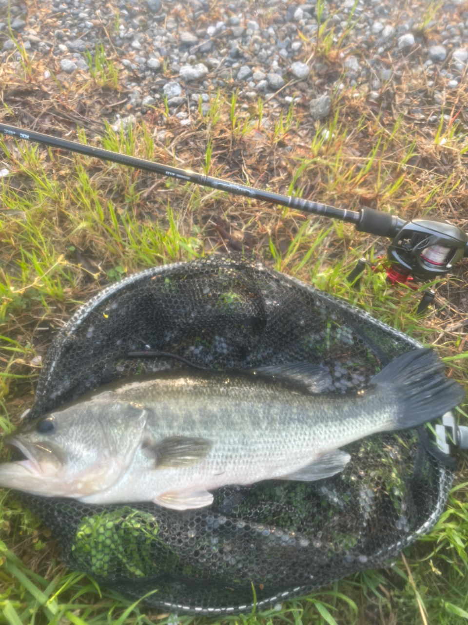 DAIWA 18ハートランド 722ML+FB-ST20の最安値・インプレ・釣果