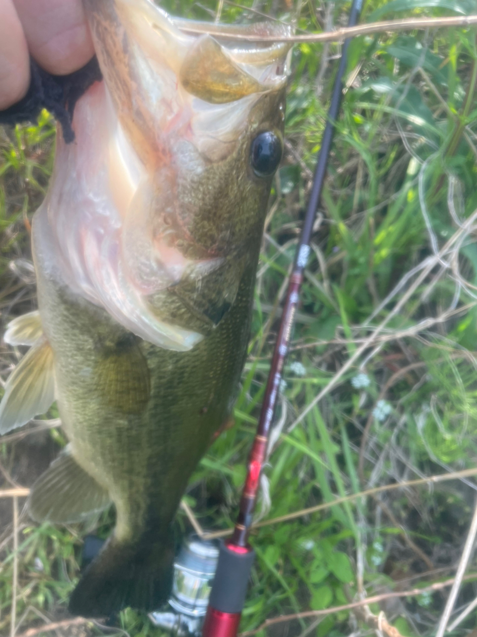 DAIWA 13ハートランド AGS 7102L+FS-SV AGS18の最安値・インプレ