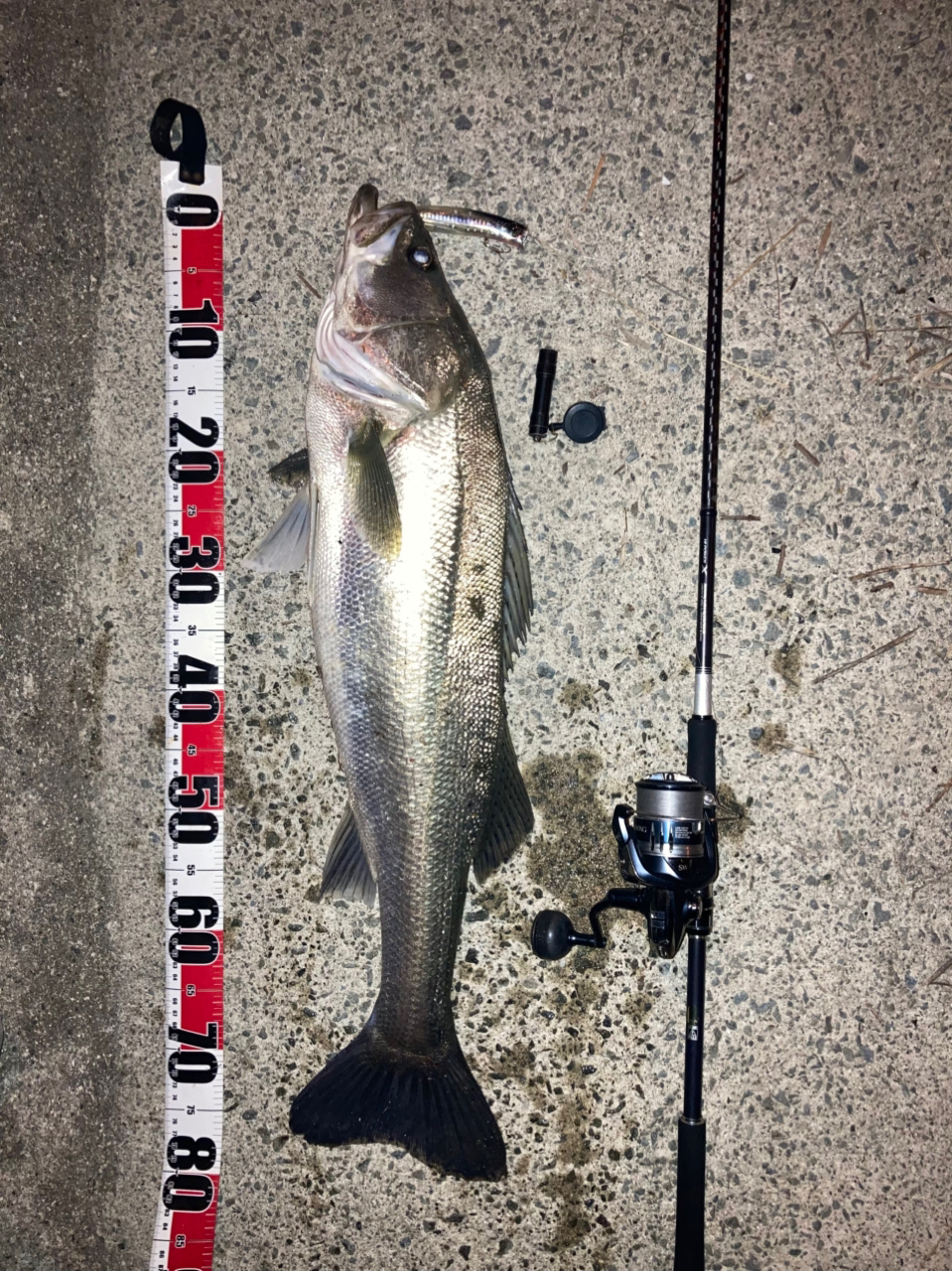 Amazon.com : Shimano Spinning Reel 20 Stradic SW 4000XG