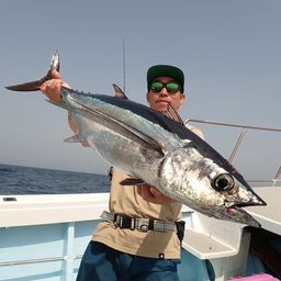 ビンチョウマグロ