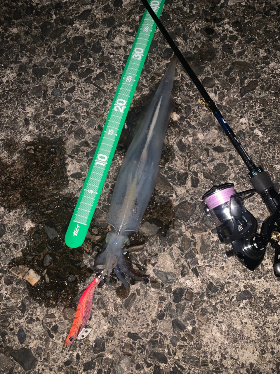 DAIWA 20エメラルダス AIR AGS 78Mの最安値・インプレ・釣果