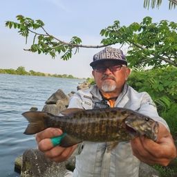 スモールマウスバス