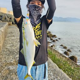 ヤズ