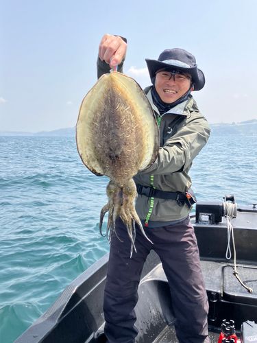 モンゴイカの釣果