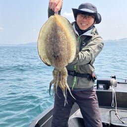モンゴイカ