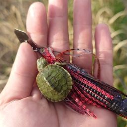 ラージマウスバス