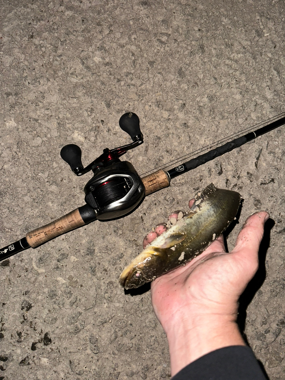SHIMANO スコーピオン MD 2021年モデルの最安値・インプレ・釣果