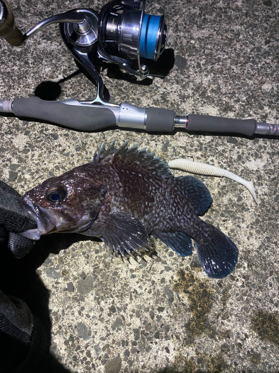 DAIWA 22ハートランド AGS 852ML+FS-SV AGS22の最安値・インプレ DAIWA 22ハートランド AGS 852ML+FS-SV AGS22の最安値・インプレ