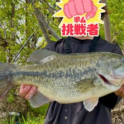 ブラックバス