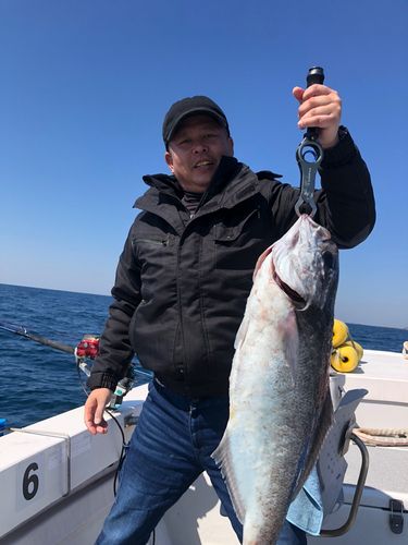 メダイの釣果