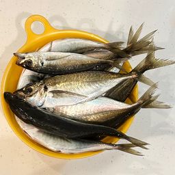 アジ