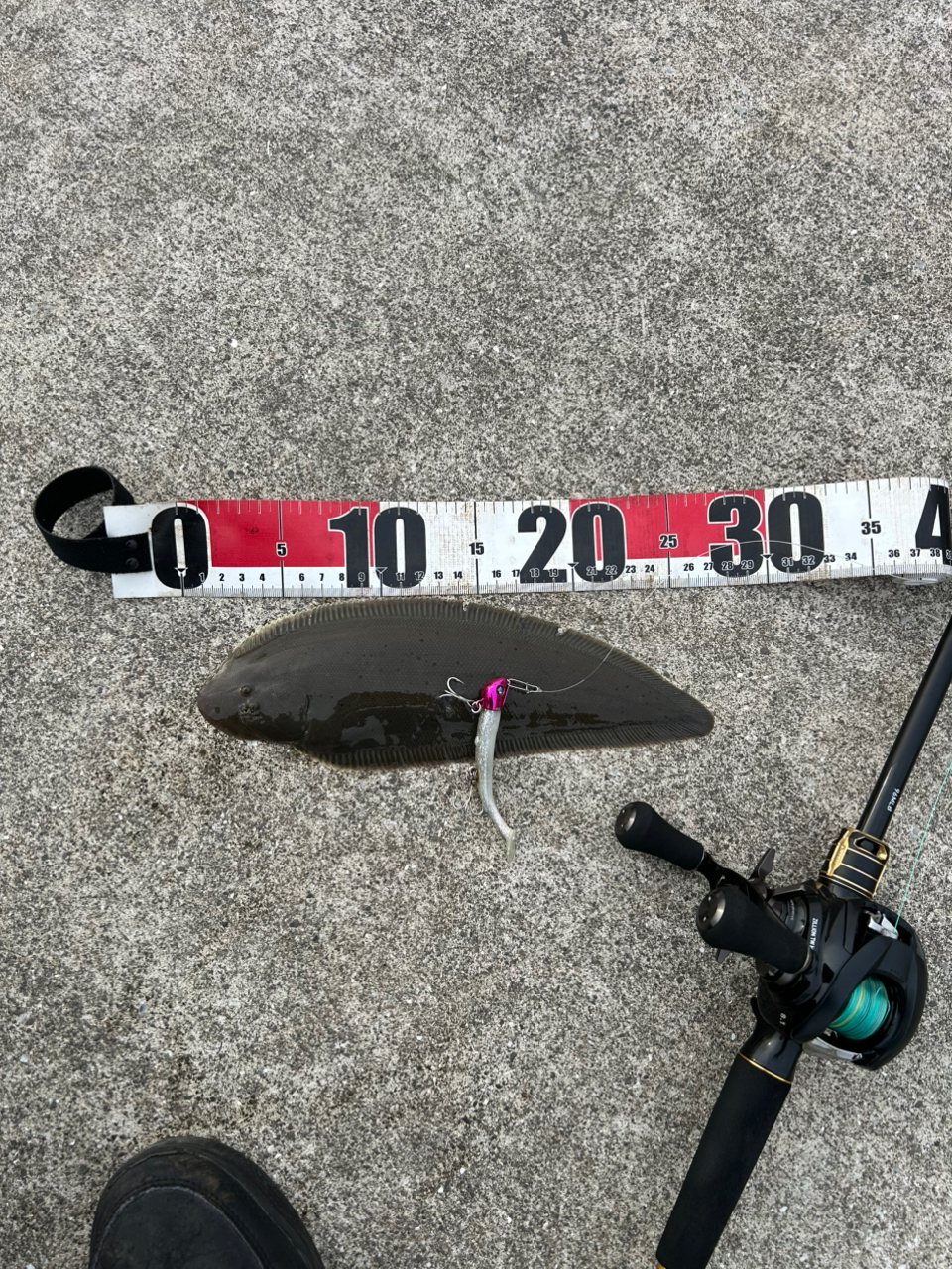 DAIWA 21ジリオン TW HD 1000XHLの最安値・インプレ・釣果