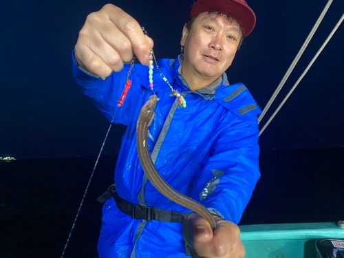 マアナゴの釣果