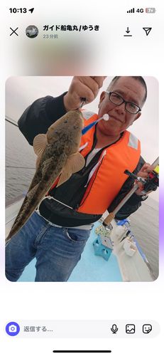 マゴチの釣果