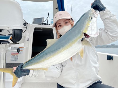 ブリの釣果