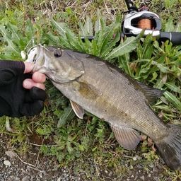 スモールマウスバス