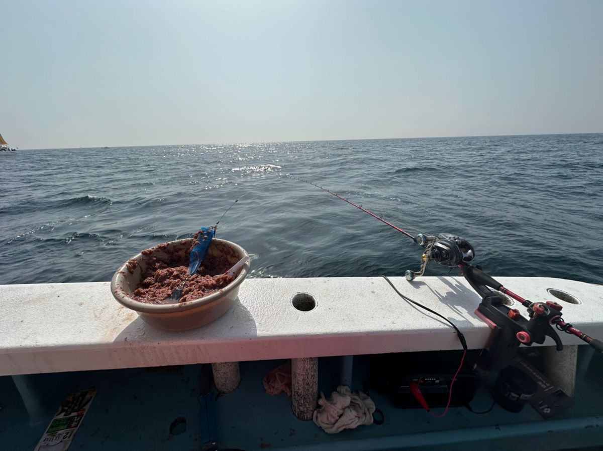 生田 @愛知さんの釣果 2枚目の画像