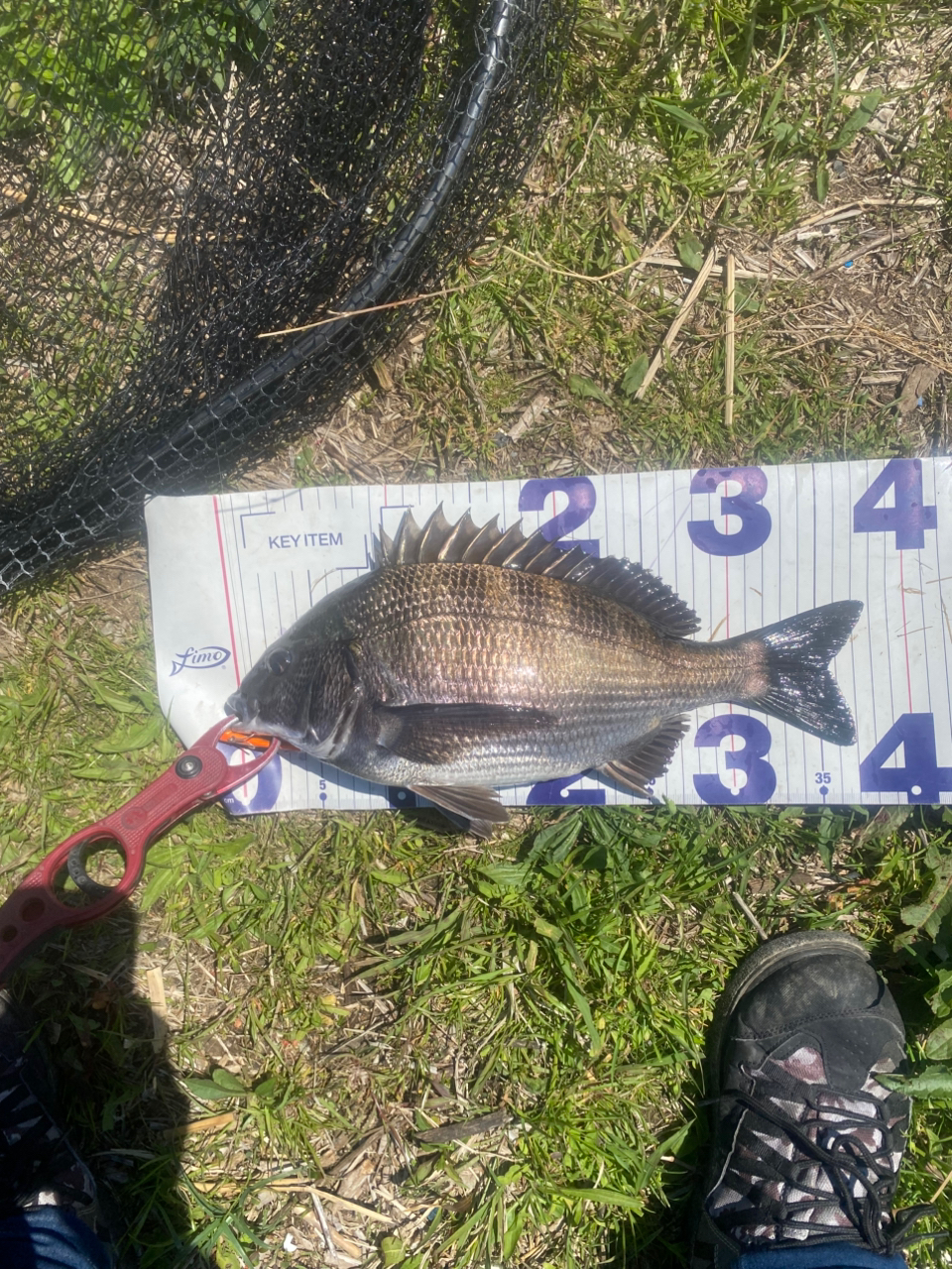 DAIWA 23エアリティ PC LT3000-XHの最安値・インプレ・釣果