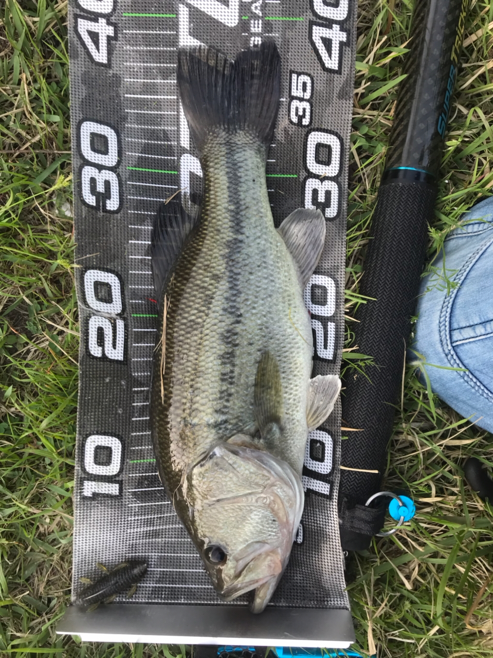 SHIMANO 18ポイズン アドレナ 2610UL/Mの最安値・インプレ・釣果 SHIMANO 18ポイズン アドレナ 2610UL/Mの最安値・インプレ・釣果