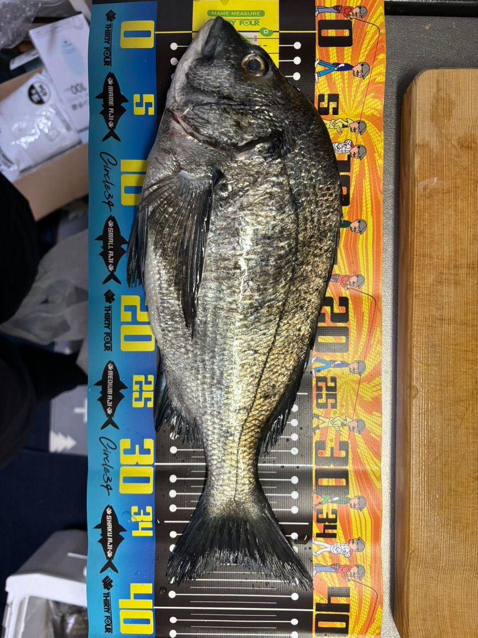 23銀狼唯牙AGS 00-53 f-marunishi3_4960652247283