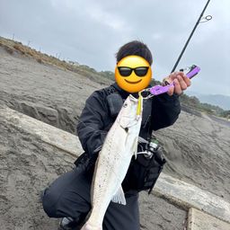 ニベ